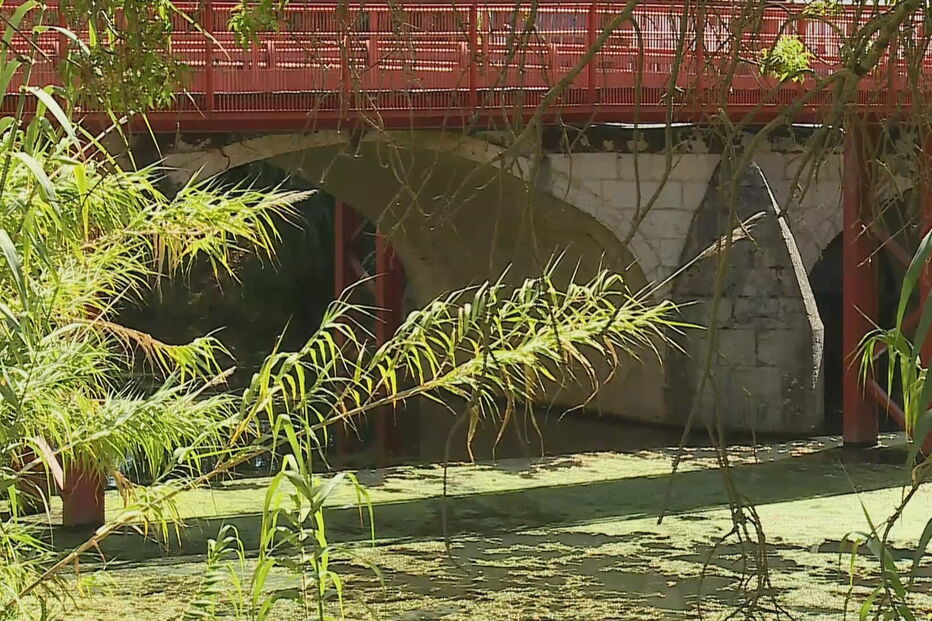 Corpo de mulher encontrado a boiar no rio Lis em Leiria