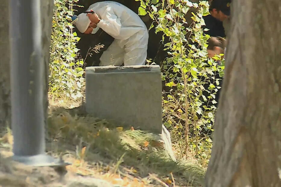 Corpo de mulher encontrado a boiar no rio Lis em Leiria