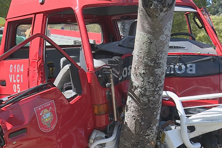 Quatro bombeiros feridos em colisão contra árvore