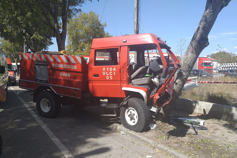 Quatro bombeiros feridos em colisão violenta contra árvore