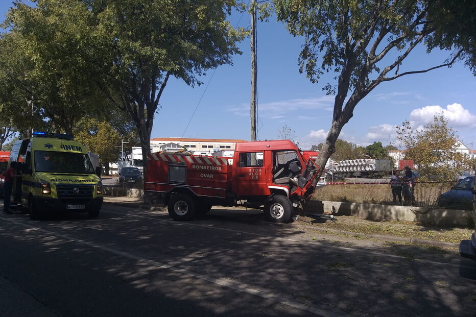 Quatro bombeiros feridos em colisão violenta contra árvore