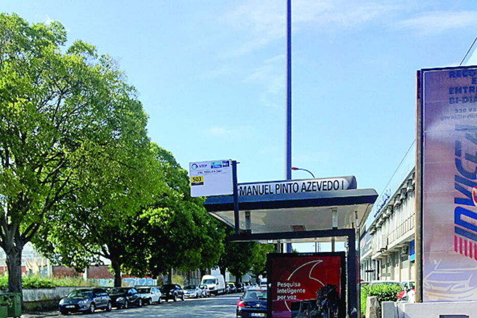 Vidros das paragens totalmente destruídos