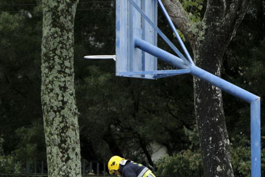 Elementos dos bombeiros queimam um vespeiro de vespa asiática 