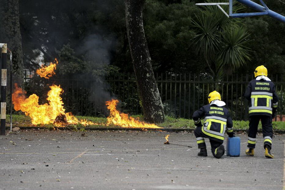 Elementos dos bombeiros queimam um vespeiro de vespa asiática 