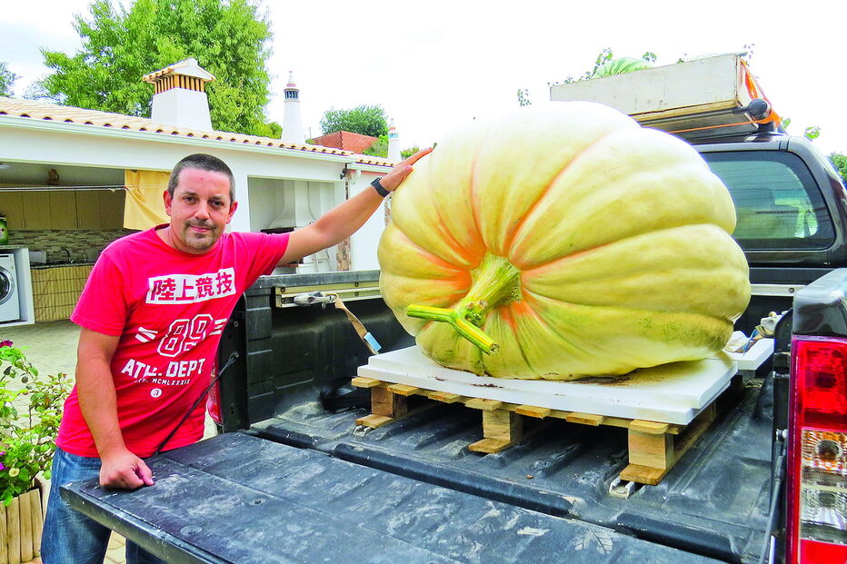 José Santos conseguiu produzir uma abóbora com cerca de 450 quilos  