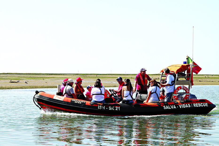 Centenas de crianças, acompanhadas pelos pais, tiveram o seu batismo de mar no Mar Seguro 