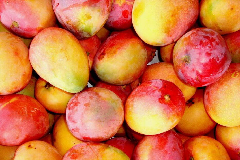 2019-09-26_12_46_18 2.jpg