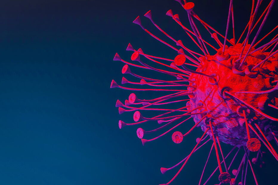 2019-09-26_13_07_17 17208874.JPG