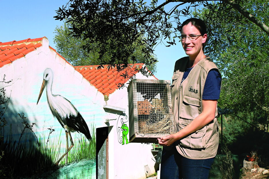 Coordenadora do centro de recuperação de animais selvagens, Fábia Azevedo, mostra um abrigo para insetos