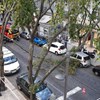 Tronco de árvore cai em rua de Lisboa