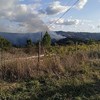 Cinco meios aéreos combatem incêndio perto da Tapada de Mafra