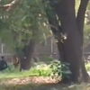 Enclosure