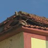 Cinco mulheres desalojadas após desabamento de telhado em Espinho