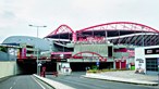 Tribunal diz que Benfica não apoia claques e anula jogo à porta fechada 