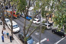 Árvore parte e tronco cai em rua de Lisboa