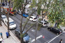 Árvore parte e tronco cai em rua de Lisboa