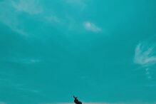 Rita Pereira no Brasil