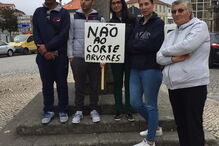Populares manifestam-se contra abate das tílias da discórdia de Vila Nova de Paiva