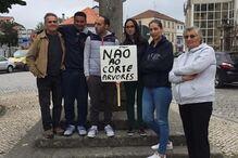 Populares manifestam-se contra abate das tílias da discórdia de Vila Nova de Paiva