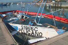 Barco de pesca foi ao fundo na ria de Alvor
