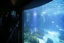Príncipe do Mónaco visita Oceanário de Lisboa