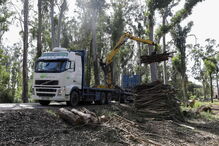 Prejuízos provocados na região Centro pela tempestade Leslie ainda são bem visíveis em alguns edifícios na Figueira da Foz