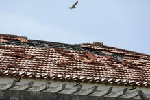 Prejuízos provocados na região Centro pela tempestade Leslie ainda são bem visíveis em alguns edifícios na Figueira da Foz