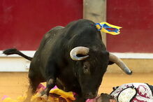 Mariano de la Viña caiu inanimado na arena