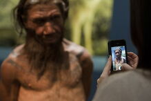 Neandertais praticavam 'canibalismo seletivo' de mulheres e crianças no norte da Europa