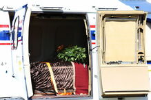 Restos mortais de Franco foram exumados do Vale dos Caídos