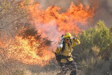 Vário incêndios florestais estão a lavrar na Califórnia