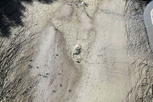 Nas margens do Tejo contam-se prejuízos e pede-se ação para salvar o rio