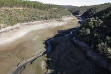 Nas margens do Tejo contam-se prejuízos e pede-se ação para salvar o rio
