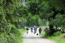 Ecovia vai ligar duas cidades e visa estimular uso de bicicleta no dia a dia