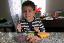 Menino de quatro anos morre após ser atacado por pit bull