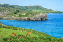 2019-10-31_16_05_28 iStock-1134516722.jpg