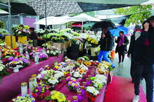 Venda de flores em Braga