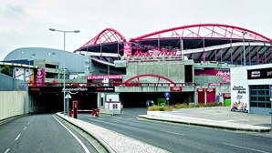 Tribunal diz que Benfica não apoia claques e anula jogo à porta fechada 