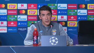 Conheça as florestas marinhas do Sado 