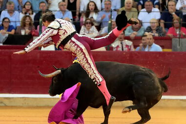 Mariano de la Viña caiu inanimado na arena