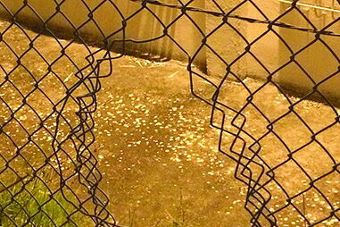 Trio cortou depois a rede da prisão 