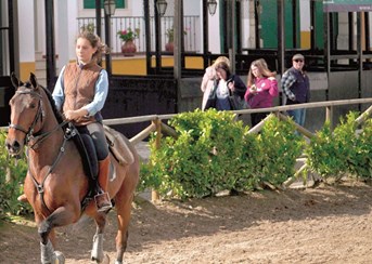 Feira da Golegã: Para quem gosta de Cavalos - LikedPlaces