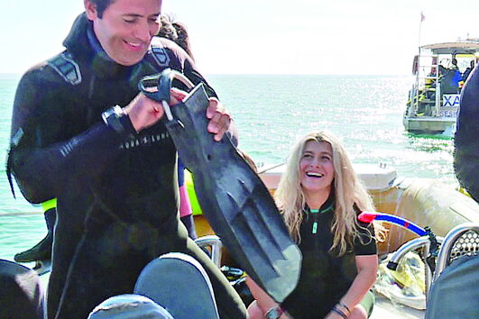 Sesimbra avalia cavalos-marinhos