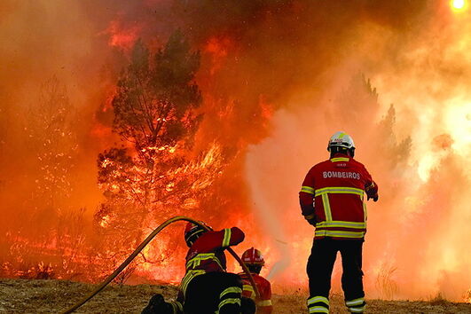 Dívida do combate aos fogos 