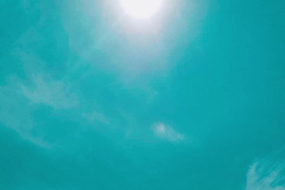 Rita Pereira no Brasil