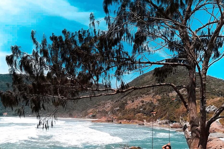 Rita Pereira no Brasil