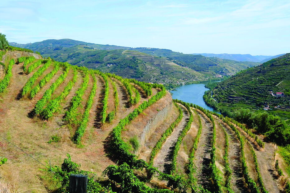 Vales do Douro e do Coa estão expostos a extremos climáticos que levantam preocupação junto dos cientistas  
