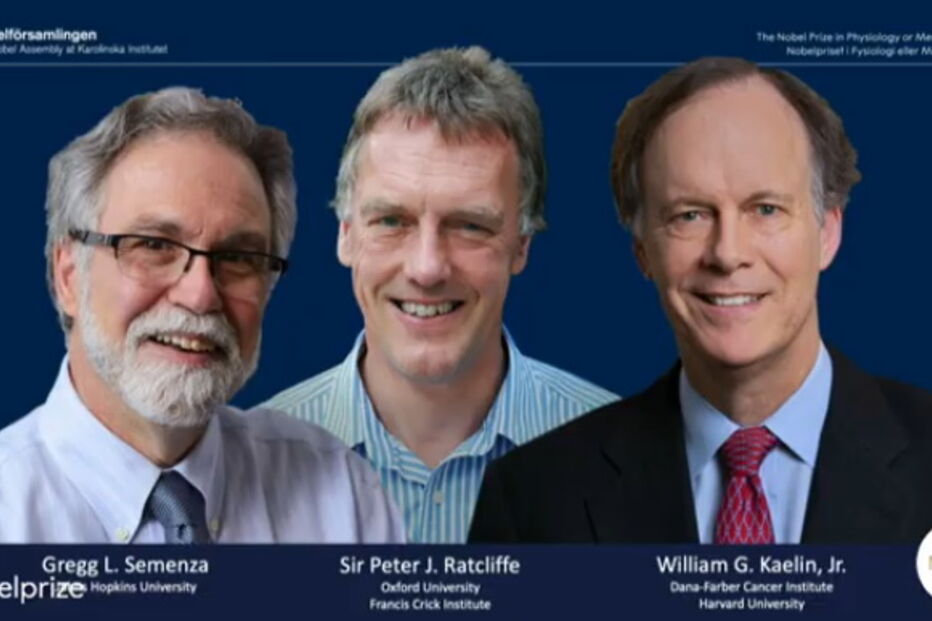 Três cientistas vencedores do prémio Nobel da medicina 