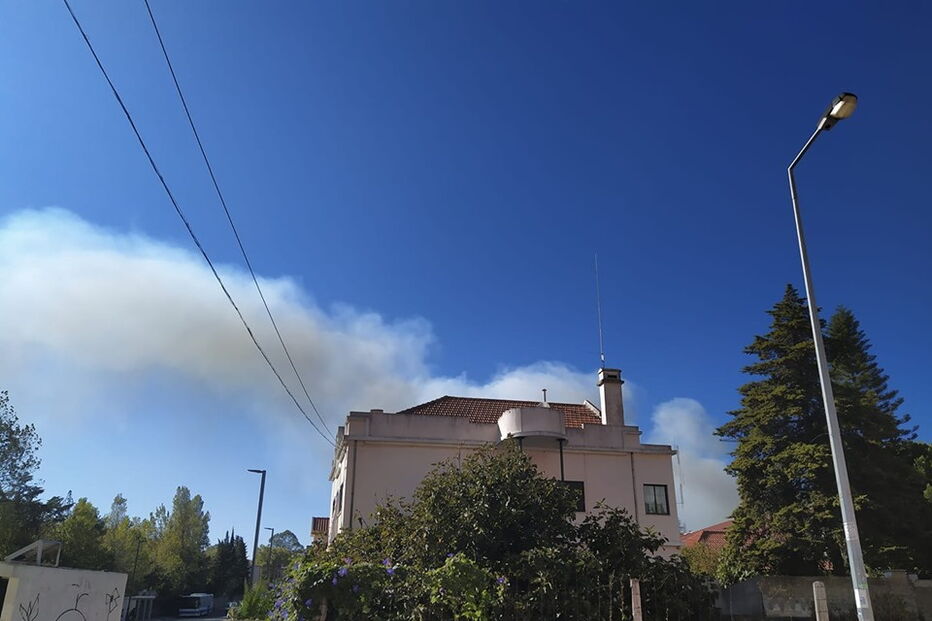 Incêndio na Serra da Carregueira, em Sintra