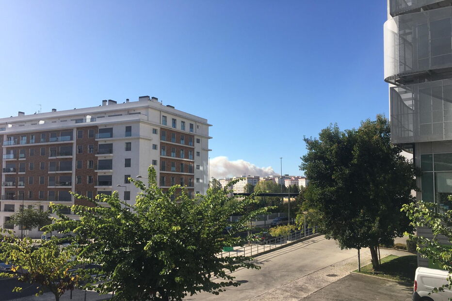 Incêndio na Serra da Carregueira, é avistado desde o Estádio da Luz, em Benfica